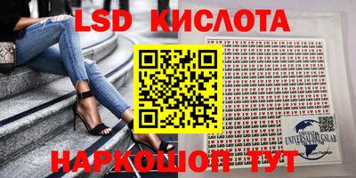 ПСИЛОЦИБИНОВЫЕ ГРИБЫ Дубна