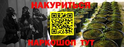 амф Донецк