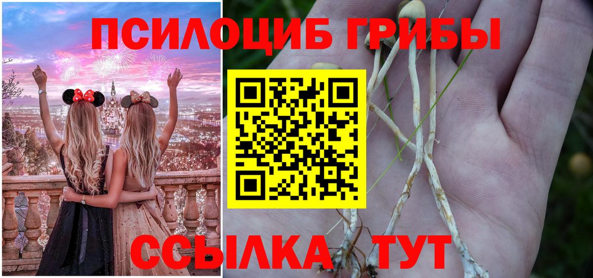 Псилоцибиновые грибы GOLDEN TEACHER Мценск